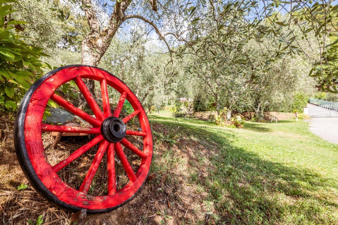 Affittacamere Al Giardino degli Ulivi Santa Maria Albiano Esterno foto