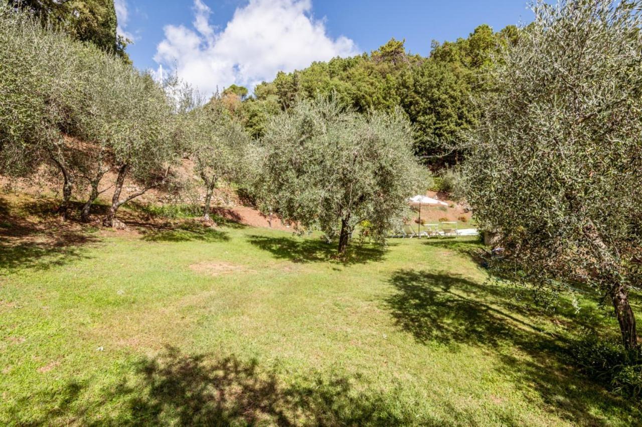 Affittacamere Al Giardino degli Ulivi Santa Maria Albiano Esterno foto